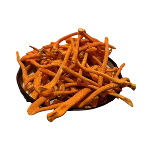 El tónico Cordyceps seco aumenta la inmunidad de la salud y la resistencia para los ancianos, Fabricante Mayorista de Vietnam - Product Image 4