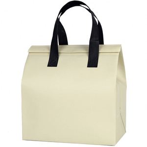 Food Beverage Takeaway Insulation Non-Woven Cooler Bag Custom Foldable Portable Zipper Closure - Product Image 2