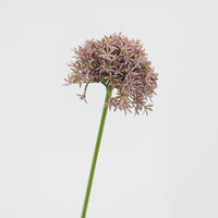 Bouquet de fleurs artificielles Real Touch KL Dandelion pour la décoration de la maison, Noël, Thanksgiving, la remise des diplômes, le jardin, le restaurant, l'hôtel