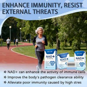 Tiras Orales de NAD+ Personalizadas, NAD+ Liposomal, Trans-Resveratrol, Mejora la Inmunidad, Tiras de Recuperación Rápida Post-Entrenamiento - Product Image 5
