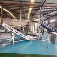 DY Continue Ontwateringscentrifuge Dehydratiemachine Volledig Automatische Centrifugale Groenteontwateringsmachine