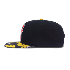 TCAP China Custom Snapback Logo Underbrim With 3D Puff Embroidery Logo <b>Label</b> Snapbacks Hats - Product Image 5