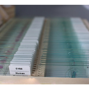 Experimental biological <b>microscope</b> specimen slides, 10 types of biological teaching materials, biological slide specimens - Product Image 1