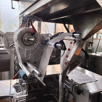 Machine à emballer automatique verticale multifonctionnelle à grande vitesse de sachet de thé de triangle de pyramide en nylon