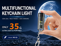 Lampe torche LED rechargeable par USB, étanche, 80LM, pour le camping