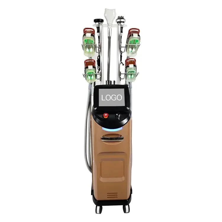 Professionele Laagste-10 Temperatuur Schoonheidsapparatuur Cryolipolyse Body Contouring Machine In Groothandel Prijs