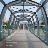 Pont piétonnier préfabriqué en structure d'acier, cadre en acier structurel, passerelle surélevée sur mesure, projet de construction