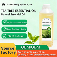 Huile Essentielle Naturelle d'Arbre à Thé – Contrôle de l'Acné, Purification de la Peau, Huile de Massage – Prise en Charge OEM, Marque Privée, Approvisionnement en Gros