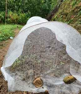 Malla Antimosquitos de HDPE Resistente a los Rayos UV, 4'x20', Malla Fina para Protección contra Plagas, Malla de Jardín para Invernadero, Cubierta para Huertos Elevados - Product Image 2