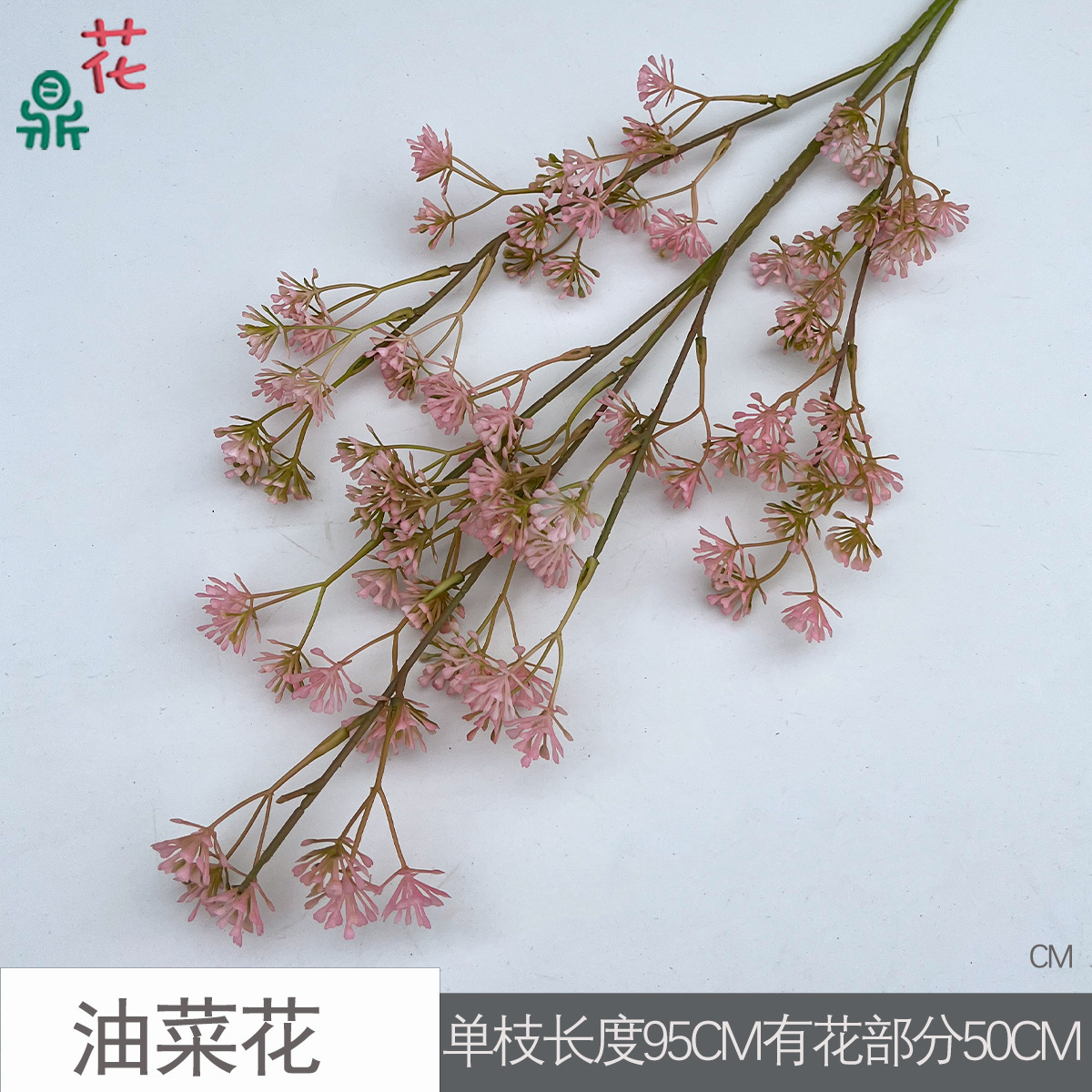 Fleur de colza CM Rose