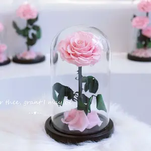 Grosir penutup kaca bunga mawar abadi kubah mawar kotak hadiah Hari Valentine penutup kaca mawar