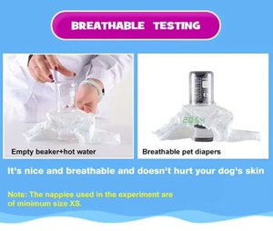Échantillon Gratuit Usine – Couches Jetables Super Absorbantes Personnalisées <span class=keywords><strong>pour</strong></span> Chiens Mâles – Soin Quotidien de l'Incontinence Canine - Product Image 3
