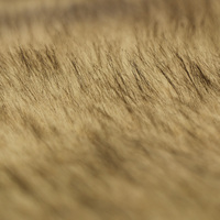 Plaid en fausse fourrure, peluche cationique, style nordique, 550 g/m², fourrure de vison marron doré à bords dorés, épais, élégant, moderne, pour salon