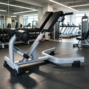 Chaise romaine commerciale, banc d'hyperextension, service OEM, équipement de fitness personnalisé pour salle de sport - Product Image 4
