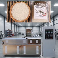 Chaîne de production de machines extrudeuses automatiques pour la fabrication de riz artificiel instantané et nutritif, équipement de fabrication de riz fortifié, fabriqué en Chine