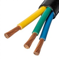 Kabel Kontrol RVV Fleksibel 4x0.5 4x0.75 4x1 4x1.5 4x2.5 4x4 4x6 4x10 4x16 mm Tembaga Bebas Oksigen Berisolasi dan Berselubung