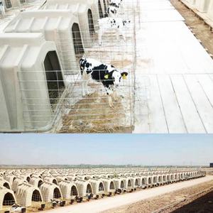 Piccolo vitello hutch mucca capannone gabbie <span class=keywords><strong>per</strong></span> il bestiame casa di vitello <span class=keywords><strong>per</strong></span> attrezzature di allevamento - Product Image 6