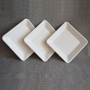 Kostenlose Probe Hochwertige biologisch abbaubare Einweg-Restaurant gerichte Papp teller 10-Zoll-Zuckerrohr-Bagasse-Teller - Product Image 4