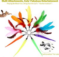 Violet bleu rétractable drôle jouets pour animaux de compagnie interactif intérieur poulet plume chat jeu baguette en plastique bois bâton tige fée Teaser