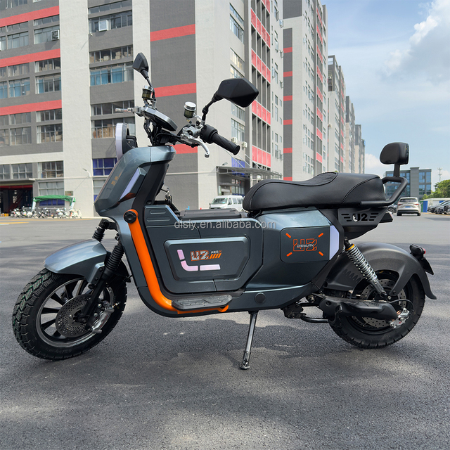 1200W 60V Adult Electric Cargo Bike EBike with Brushless Motor Electronic LCD Display 65km/h Top Speed & 120km Range