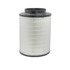 Filtro Aria di Alta Qualità PA30170 12344436 180945802 330570171 Fornito dai Produttori - Product Image 2