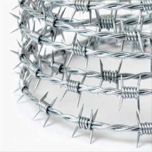 Vente protectrice clôture de bobine de fil de fer barbelé agricole galvanisé PVC enduit acier fer rasoir simple 2mm 1.9mm prix de gros de ferme - Product Image 2