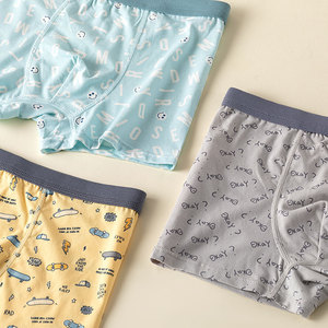 Boxer en coton doux élastique respirant pour garçons à la mode sous-vêtements personnalisés pour adolescents de 8 à 18 ans 4 couleurs toutes saisons - Product Image 3