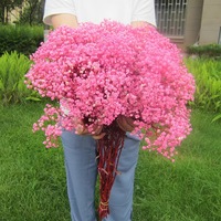 Groothandel Gedroogde Gypsophila Bloemboeket Meerdere Kleuren Gedroogde Bloemen Kerst Valentijn Pasen Cadeau Huis Bruiloft Decoratie