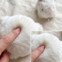 Porte-clés en peluche sonore mignon et moelleux de 10 cm, breloque animale sonore à presser, pendentif de sac avec compartiment de rangement dissimulé, décoration de sac, cadeau