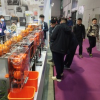 Wervingsagenten Commerciële Sapcentrifuge Industriële Vers Sinaasappelsapmachine Extractor Citroen Slow Juicer Schil Koudpers Sapcentrifuge