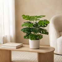 Plante artificielle Monstera, fausse Monstera Deliciosa, feuilles au toucher réel, OEM ODM, usine directe, plante en pot, décoration de bureau et de maison