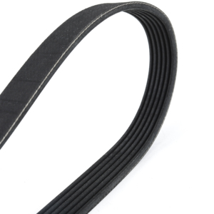 Dây curoa Poly V, dây curoa gân, máy móc, cao su, truyền động, công suất cao, 4PK, 5PK, 6PK, 8PK - Product Image 3