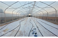 Serre Agricole Commerciale à Structure Métallique en Forme de Dents de Scie 8x30m