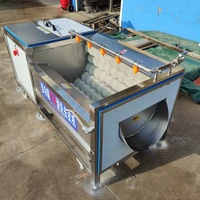 Automatische groenteverwerkingslijn, industriële bubbelwas-, snij- en drooglijn voor voedingsfabrieken