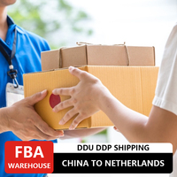 Transitaire de fret chinois bon marché pour l'expédition maritime vers les Pays-Bas livraison porte à porte (DDP/DDU) pour les produits LCL + Express