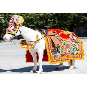 Costume de cheval de conception de paon Costume de cheval brodé à la main de paon élégant Nouveau Costume de cheval de conception de paon de broderie