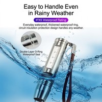 Lampe torche de camping rechargeable 5W UV 365nm LED étanche en acier inoxydable avec chargement USB, filtre V55, IP55, pour minéraux fluorescents