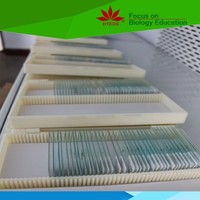 Ourself factory individual Skeletal Muscle l.s and c.s prepared microscope slide