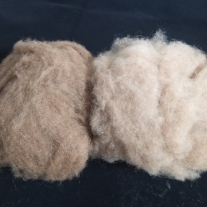 Différents types de fibres de chameau prix <span class=keywords><strong>du</strong></span> <span class=keywords><strong>marché</strong></span> chinois matériau de meilleure qualité compétitif le <span class=keywords><strong>moins</strong></span> cher à vendre - Product Image 6