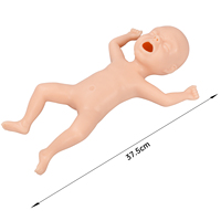 Maniquí de Silicona para Entrenamiento de Inyección e Intubación, Modelo de Bebé Prematuro de 30 Semanas, EZTRAIN .CP.KC.0722 3kg