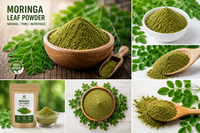 Poudre de feuilles de Moringa de qualité alimentaire, extrait végétal premium, naturellement moulue, extrait par solvant, durée de conservation de 24 mois