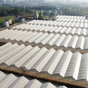 Poly Tunnel tropicale prezzo della serra con il tetto a dente di sega di ventilazione a dente di sega serra