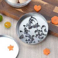 Ensemble de 30 mini emporte-pièces avec boîte de rangement en acier inoxydable, formes variées pour biscuits, fruits, fondant, outils de pâtisserie