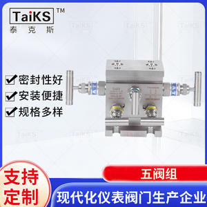 Collecteur à cinq vannes de type T en acier inoxydable avec bride à double rail en U et filetage interne, collecteur de vanne à commande séparée - Product Image 4