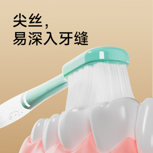 Cepillo de Dientes Surree con Cerdas Suaves y Mango Transparente para Adultos, Cuidado Dental de Alta Calidad, Protección de Encías - Product Image 4