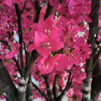 Arbre artificiel en fleurs de cerisier rose en plastique, centre de table pour décorations de mariage en intérieur