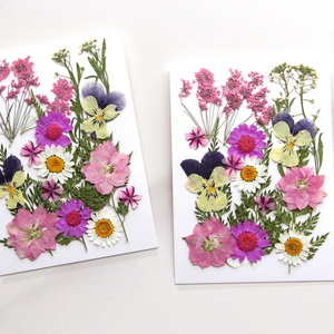 Vente en gros DIY variétés de fleurs séchées en mariage et maquillage ongles pressé fleur Bijoux carte postale décoration - Product Image 5