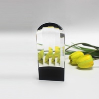 Plaque vierge personnalisée en cristal, artisanat en cristal, mini-trophées personnalisés, médailles en verre K9, trophée en cristal sablé avec logo OEM