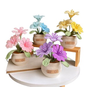 Macetas de Flores Tejidas a Crochet al por Mayor, Hechas a Mano, para Suculentas, Regalos para Boutiques Minoristas - Product Image 5