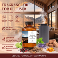 Huile Parfumée Boisée Fougère Sauvage : Bergamote, Poivre, Lavande, Vétiver, Patchouli, Cèdre – Arôme pour Diffuseur – Usine OEM ODM